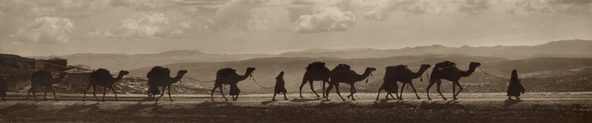 1918 camel caravan